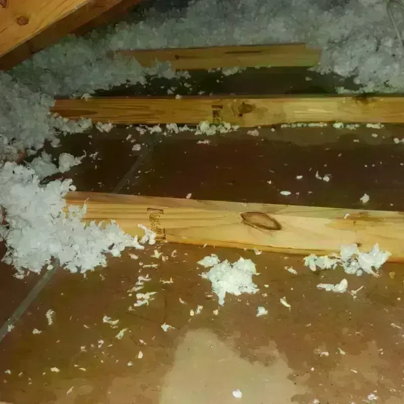 Attic Water Damage in Walworth County, SD