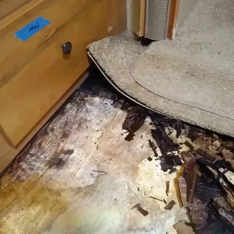 Wood Floor Water Damage in Walworth County, SD